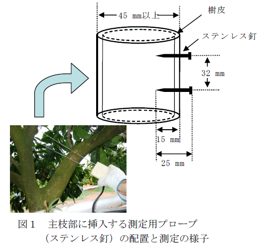 主枝部に挿入する測定用プローブ