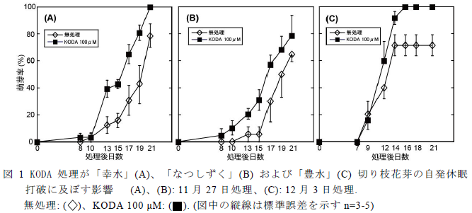 KODA 処理が「幸水」(A)、「なつしずく」(B) および「豊水」(C) 切り枝花芽の自発休眠 打破に及ぼす影響