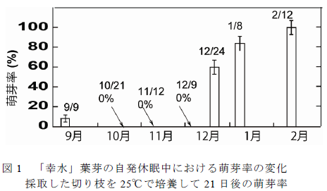 「幸水」葉芽の自発休眠中における萌芽率の変化