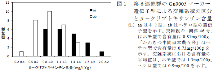 第6 連鎖群のGn0005 マーカー 遺伝子型による交雑系統の区分 とβ-クリプトキサンチン含量