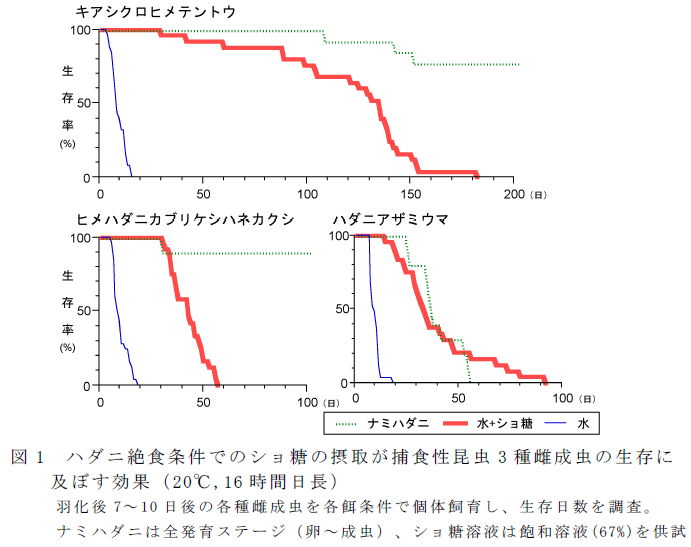 ハダニ絶食条件でのショ糖の摂取が捕食性昆虫3 種雌成虫の生存に 及ぼす効果