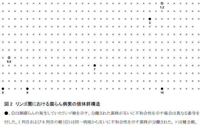 リンゴ園における腐らん病菌の個体群構造