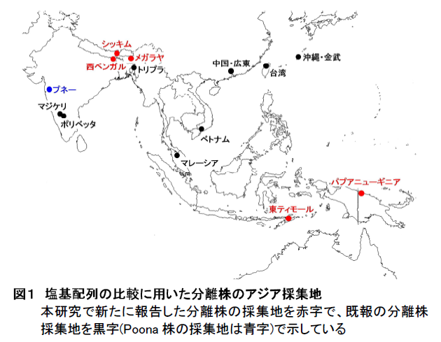 塩基配列の比較に用いた分離株のアジア採集地