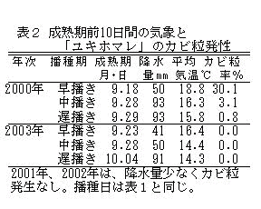 表2 成熟期前10日間の気象と「ユキホマレ」のカビ粒発性