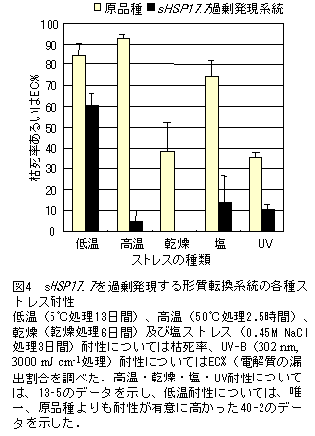 図4 sHSP17.7を過剰発現する形質転換系統の各種ストレス耐性