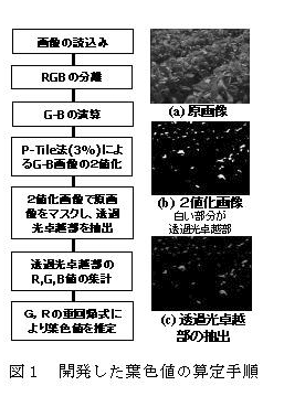 図1 開発した葉色値の算定手順