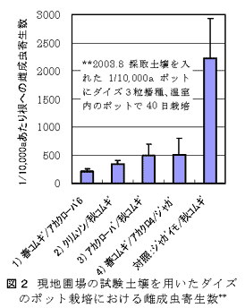 図2 現地圃場の試験土壌を用いたダイズのポット栽培における雌成虫寄生数