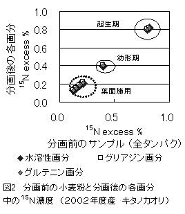 図2 分画前の小麦粉と分画後の各画分中の15N濃度