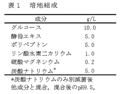 表1 培地組成