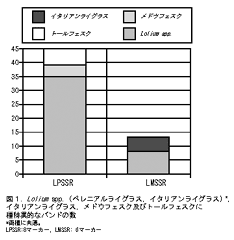 図1 Lolium spp.(ペレニアルライグラス、イタリアンライグラス、メドウフェスク及びトールフェスクに種特異的なバンドの数