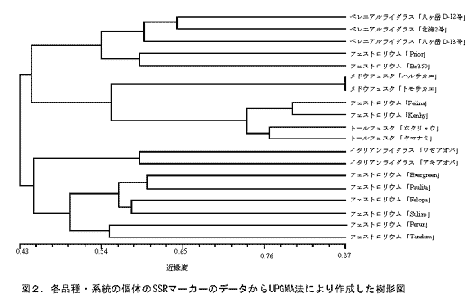 図2.各品種・系統の個体のSSRマーカーのデータからUPGMAにより作成した樹形図