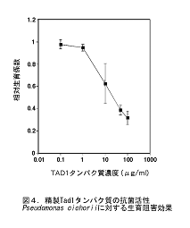 図4 精製Tad1タンパク質の抗菌活性