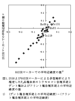 図1 25および60SSRマーカーによる多型解析により推定したF1品種由来のトウモロコシ自殖系統とデント種およびフリント種自殖系統との平均近縁度の差
