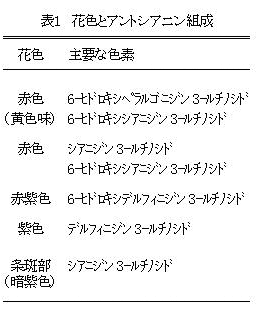 表1 花色とアントシアニン組成