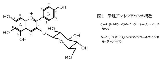 図1 新規アントシアニンの構造