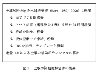 図1 土壌汚染程度評価法の概要