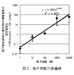 図2 胞子球数の検量線