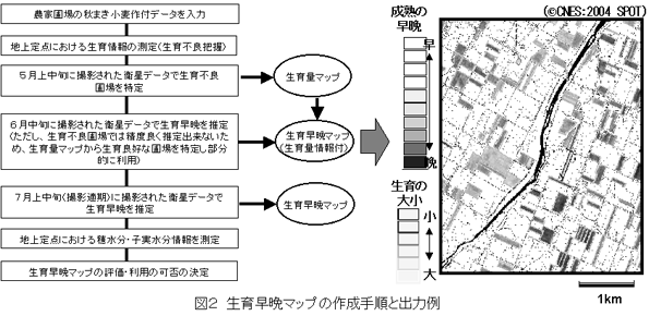 図2 生育早晩マップの作成手順と出力例