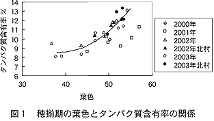 図1.穂揃期の葉色とタンパク質含有率の関係