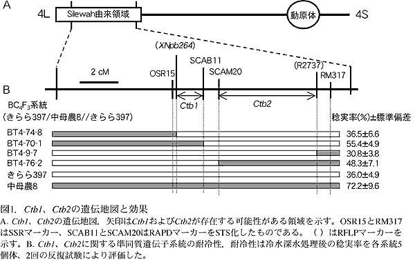 図1.Ctb1、Ctb2の遺伝地図と効果