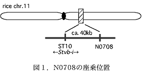 図1.N0708の座乗位置