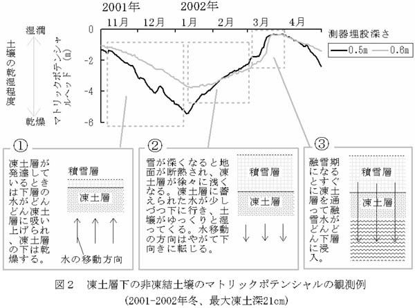 図2 凍土層下の非凍結土壌のマトリックポテンシャルの観測例