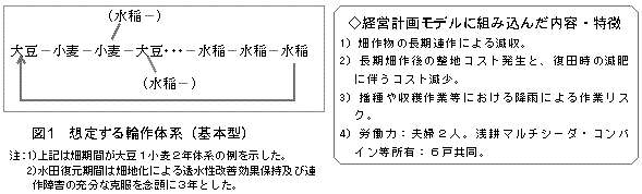 図1 想定する輪作体系(基本型)