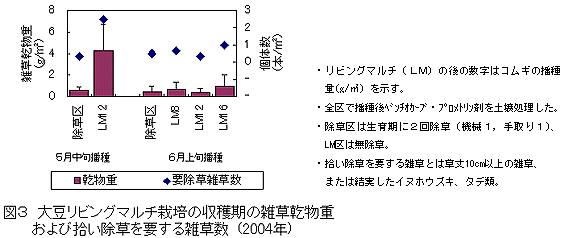 図3 大豆リビングマルチ栽培の収穫期の雑草乾物重    および拾い除草を要する雑草数