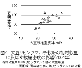 図4 大豆リビングマルチ栽培の相対収量   に及ぼす栽植密度の影響
