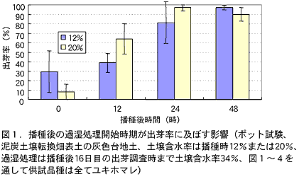 図1.播種後の過湿処理開始時期が出芽率に及ぼす影響