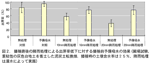 図2. 播種直後の降雨処理による出芽率低下に対する播種前予備吸水の効果