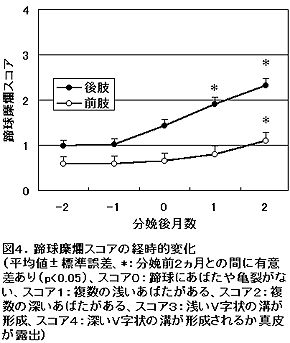 図4.蹄球糜爛スコアの経時的変化