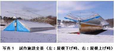 写真1 試作施設全景