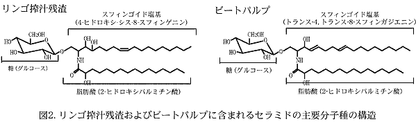 図2. リンゴ搾汁残渣およびビートパルプに含まれるセラミドの主要分子種の構造