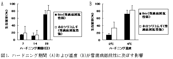 図1.ハードニング期間(A)および温度(B)が雪腐病抵抗性に及ぼす影響