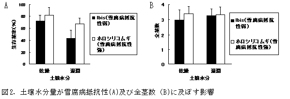 図2.土壌水分量が雪腐病抵抗性(A)及び全茎数(B)に及ぼす影響