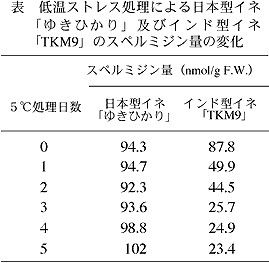 表 低温ストレス処理による日本型イ ネ「ゆきひかり」及びインド型イネ 「TKM9」のスペルミジン量の変化