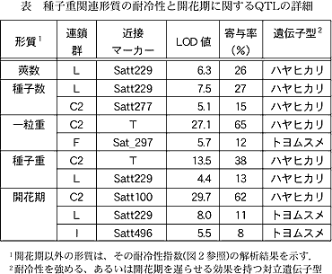 表 種子重関連形質の耐冷性と開花期に関するQTLの詳細