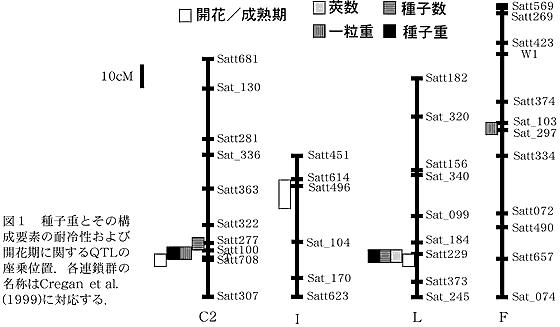 図1 種子重とその構成要素の耐冷性および開花期に関するQTLの座乗位置.