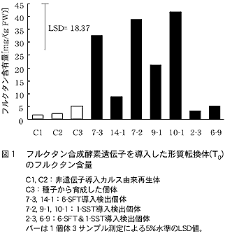 図1 フルクタン合成酵素遺伝子を導入した形質転換体(T0)のフルクタン含量