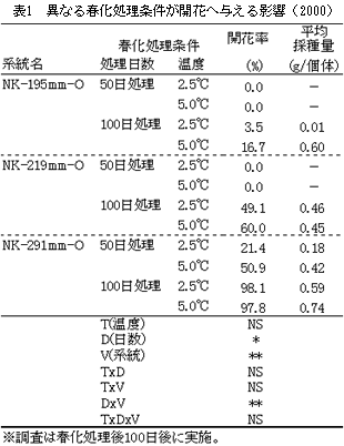 表1 異なる春化処理条件が開花へ与える影響