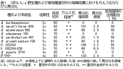 表1 ばれいしょ野生種および栽培種茎切片の組織培養におけるカルス化ならびに再分化