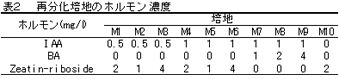 表2 再分化培地のホルモン濃度