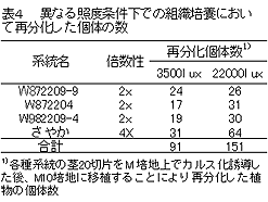 表4 異なる照度条件下での組織培養におい て再分化した個体の数