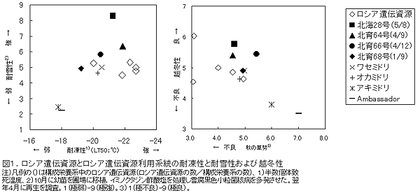図1.ロシア遺伝資源とロシア遺伝資源利用系統の耐凍性と耐雪性および越冬性