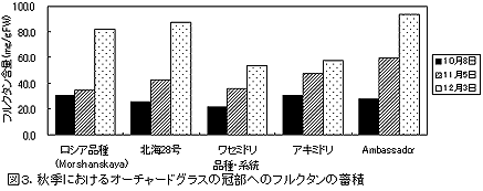 図3.秋季におけるオーチャードグラスの冠部へのフルクタンの蓄積