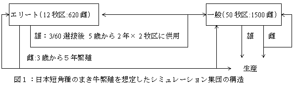 図1:日本短角種のまき牛繁殖を想定したシミュレーション集団の構造