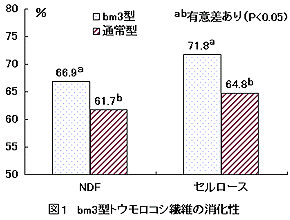 図1 bm3型トウモロコシ繊維の消化性