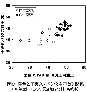 図3 葉色と子実タンパク含有率との関係