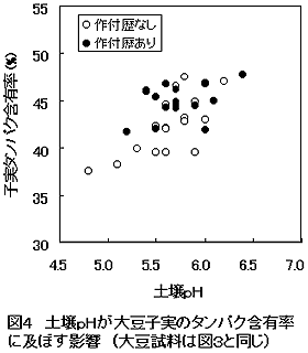 図4 土壌pHが大豆子実のタンパク含有率 に及ぼす影響